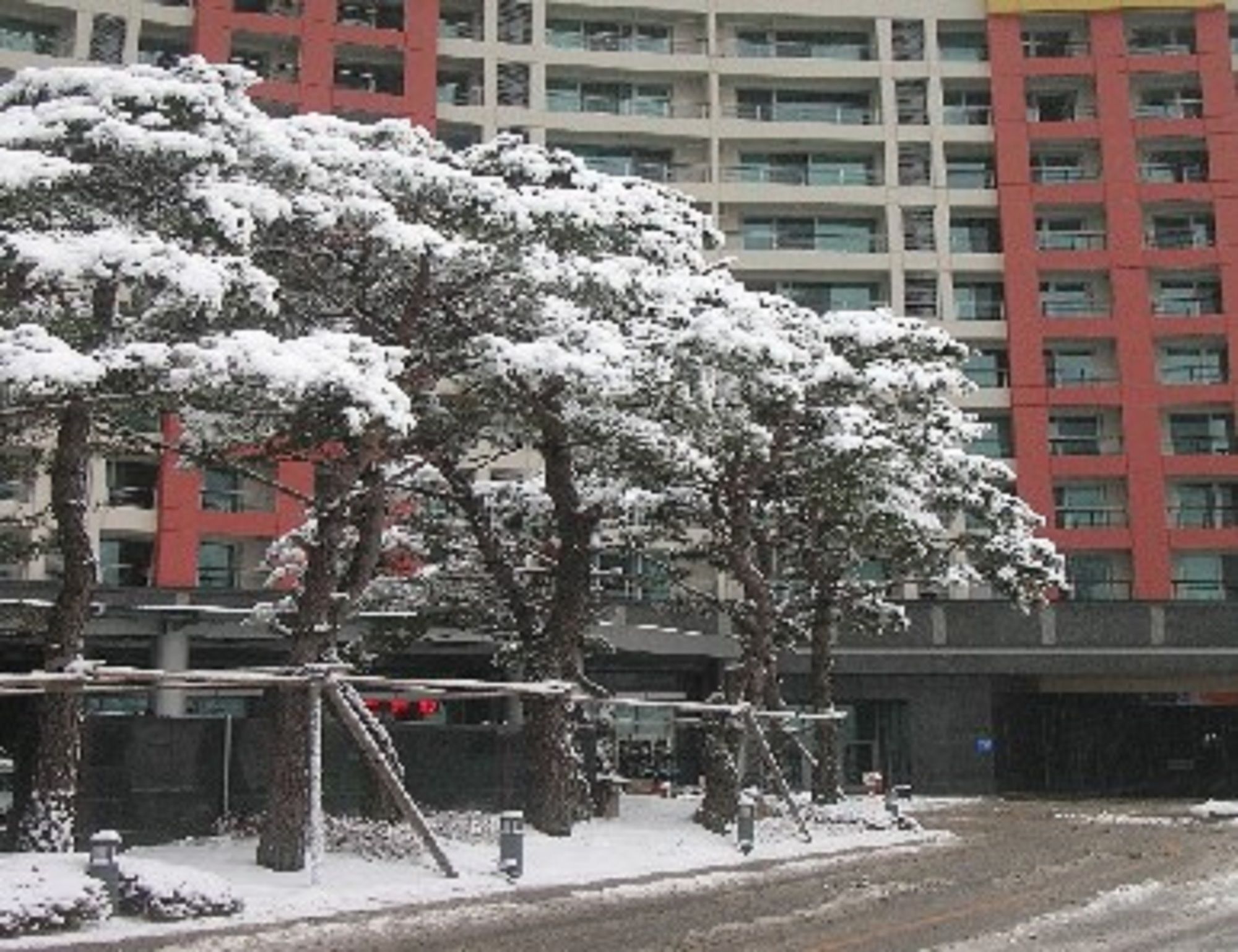 Jeongseon Mayhills Resort מראה חיצוני תמונה